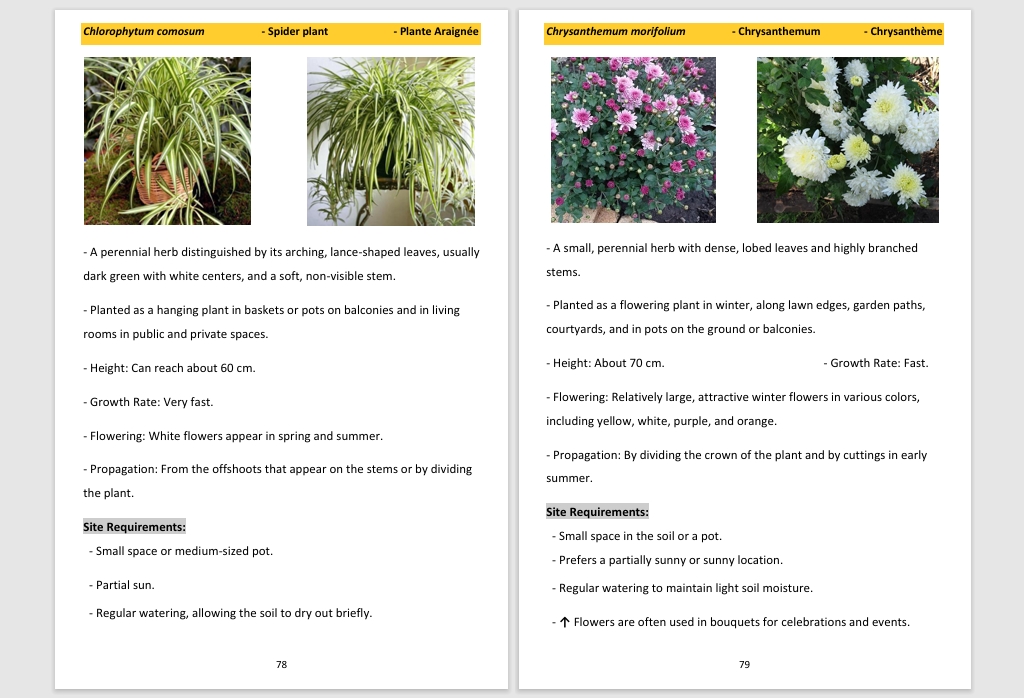 Herbaceous plants